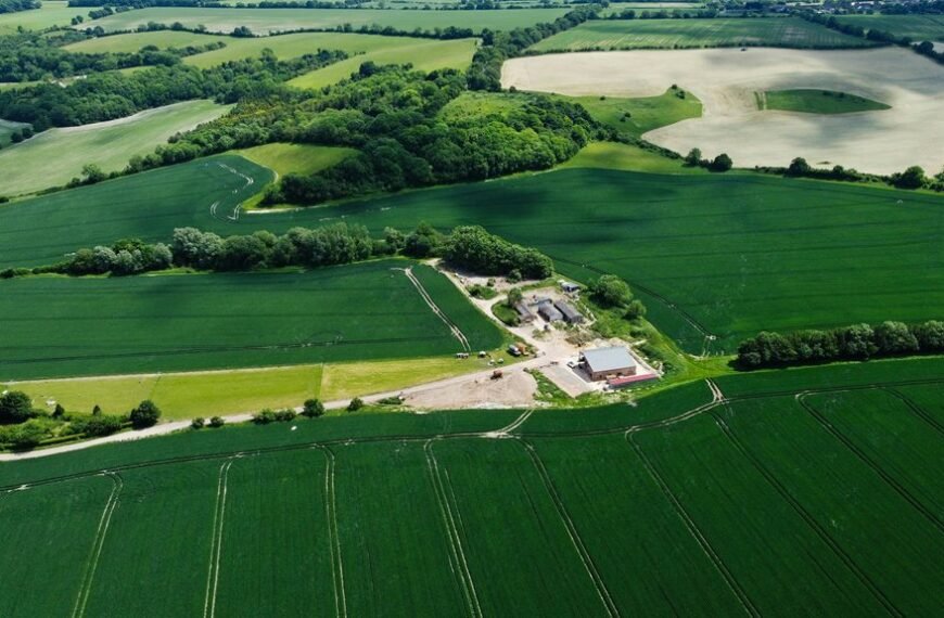 sector output analysis summary