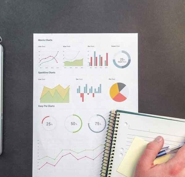 Strategic Performance Digest for 18002189570, 63030301987015, 954949965, 986000776, 214077981, 671616980