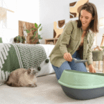 Cat Litter Crystals or Clumping Cat Litter? What Is Better?