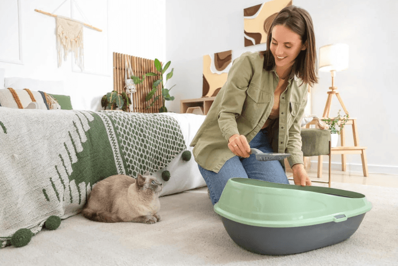 Cat Litter Crystals or Clumping Cat Litter? What Is Better?